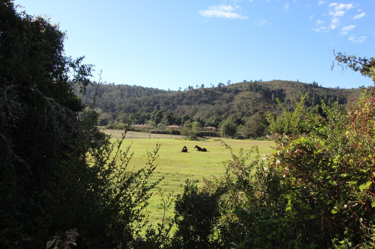 Boschrivier farm Villa Wittedrif Esterno foto